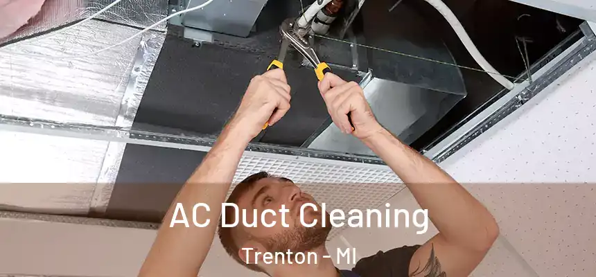 AC Duct Cleaning Trenton - MI