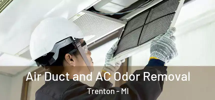  Air Duct and AC Odor Removal Trenton - MI