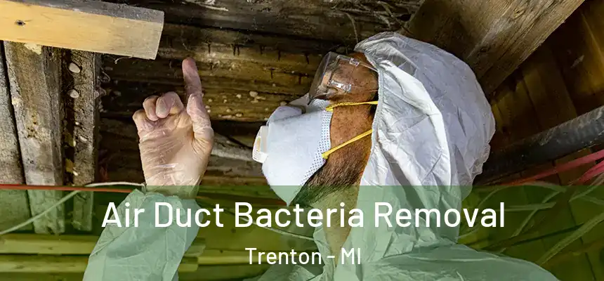  Air Duct Bacteria Removal Trenton - MI
