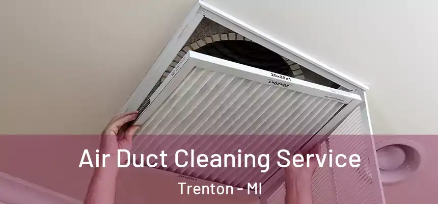  Air Duct Cleaning Service Trenton - MI