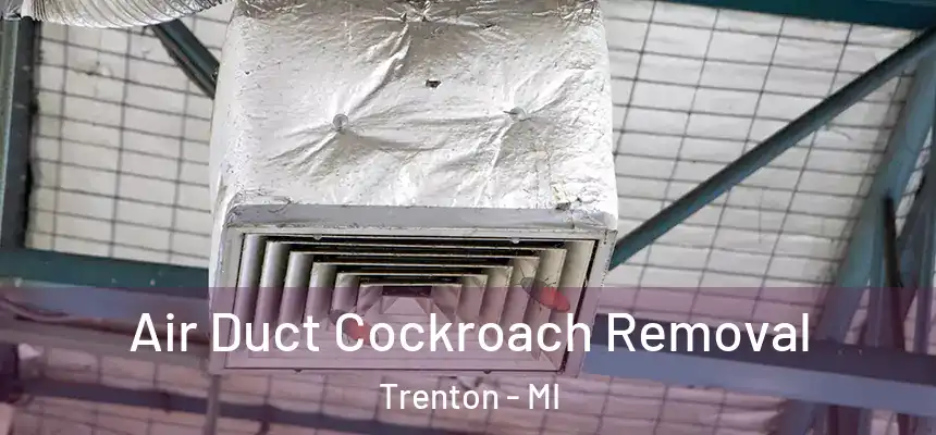  Air Duct Cockroach Removal Trenton - MI