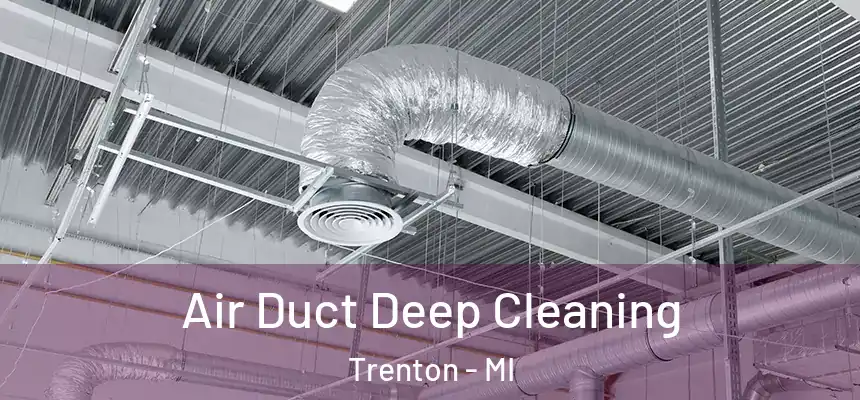 Air Duct Deep Cleaning Trenton - MI