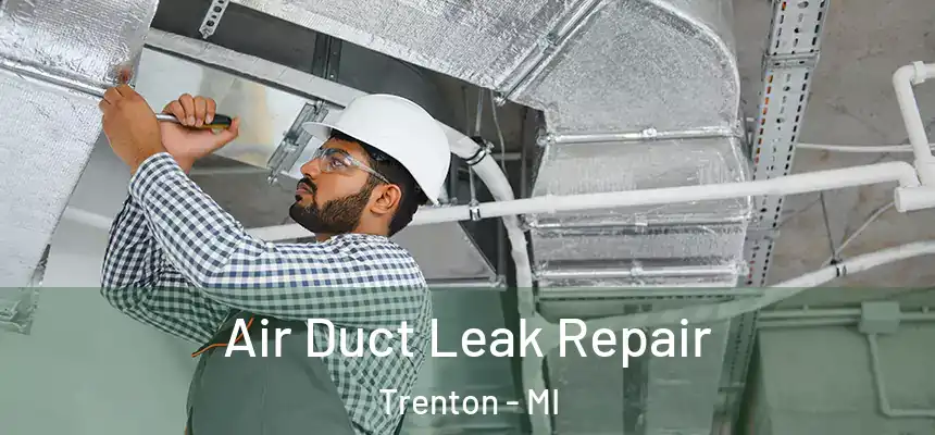 Air Duct Leak Repair Trenton - MI