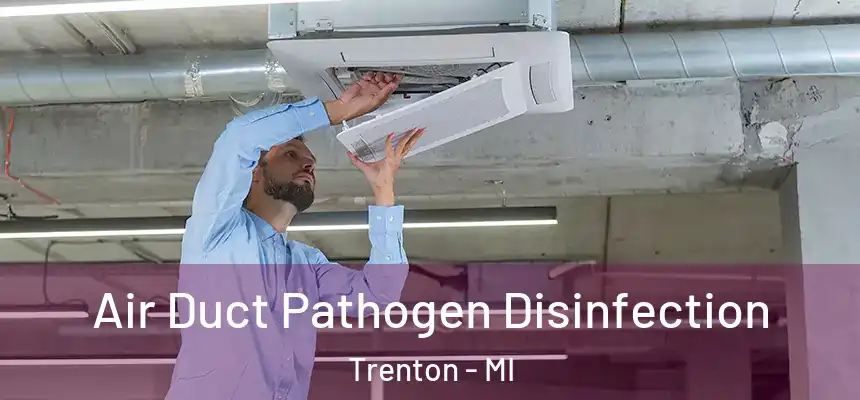  Air Duct Pathogen Disinfection Trenton - MI