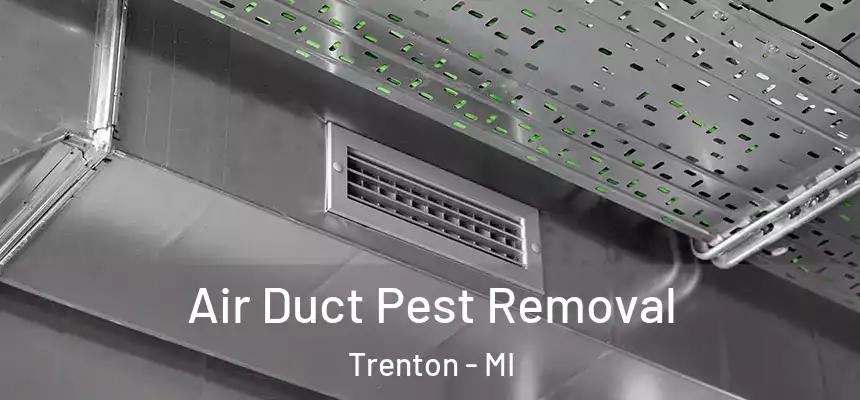  Air Duct Pest Removal Trenton - MI