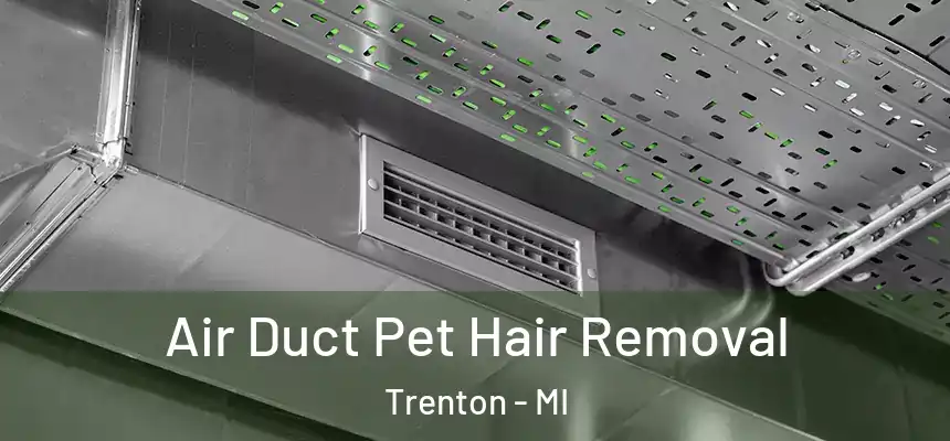  Air Duct Pet Hair Removal Trenton - MI