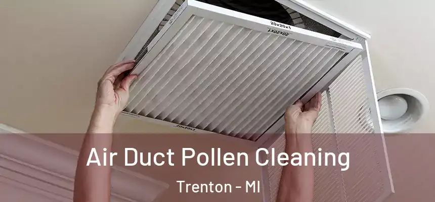  Air Duct Pollen Cleaning Trenton - MI