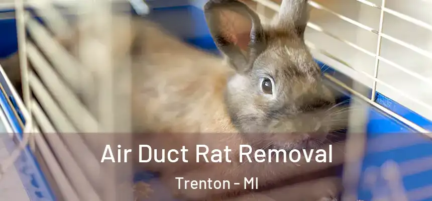  Air Duct Rat Removal Trenton - MI
