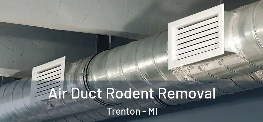 Air Duct Rodent Removal Trenton - MI