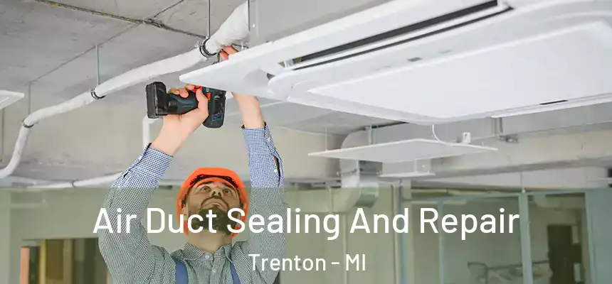  Air Duct Sealing And Repair Trenton - MI