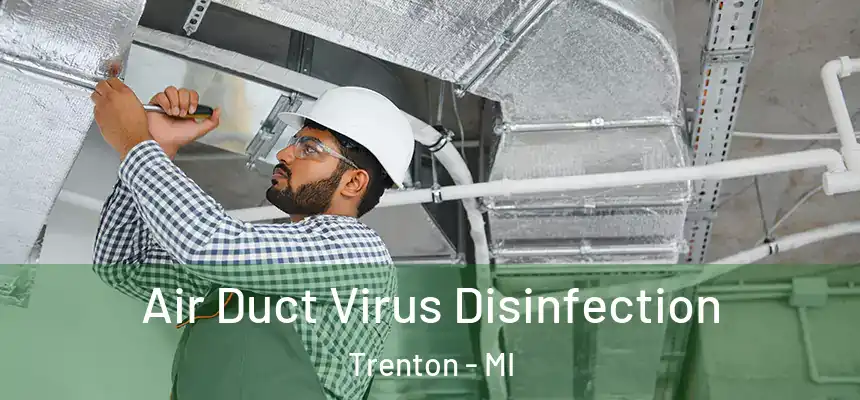 Air Duct Virus Disinfection Trenton - MI