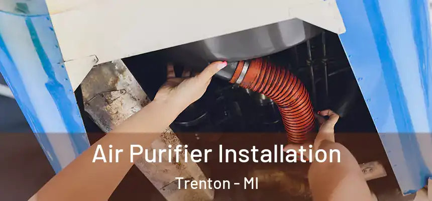  Air Purifier Installation Trenton - MI