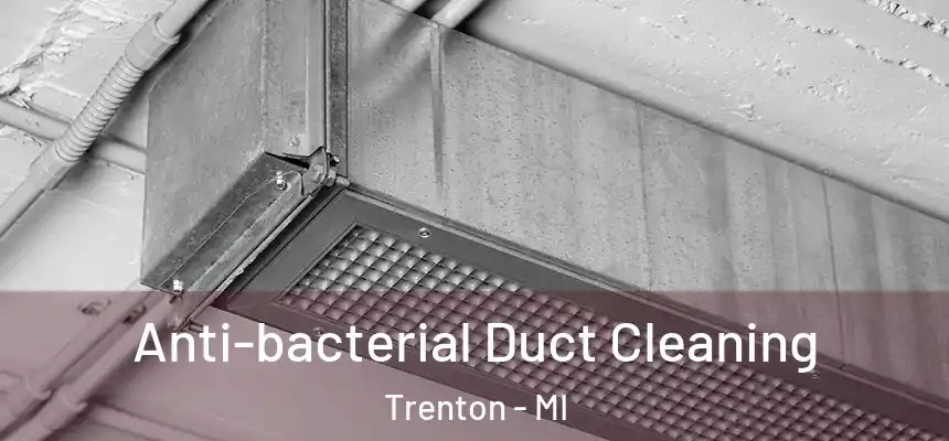  Anti-bacterial Duct Cleaning Trenton - MI