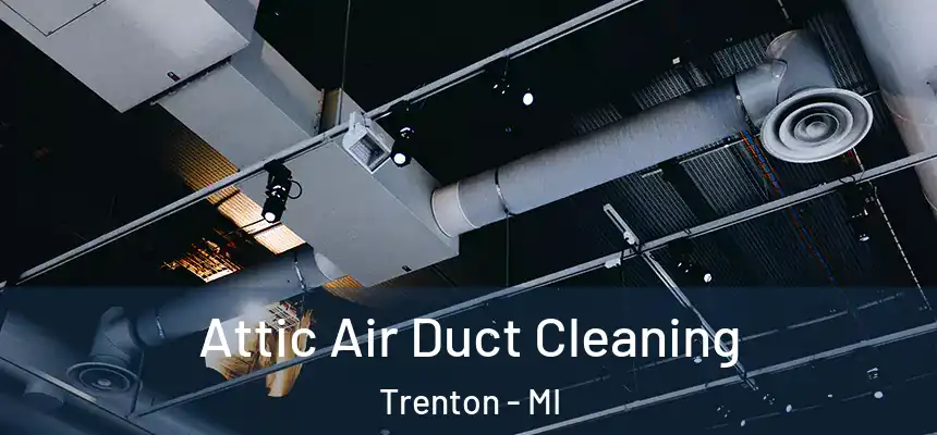  Attic Air Duct Cleaning Trenton - MI