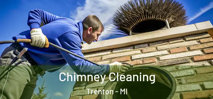 Chimney Cleaning Trenton - MI