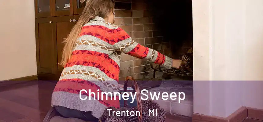  Chimney Sweep Trenton - MI