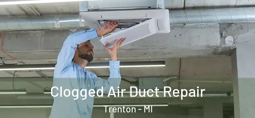  Clogged Air Duct Repair Trenton - MI