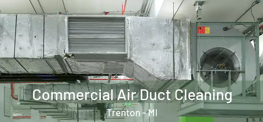 Commercial Air Duct Cleaning Trenton - MI