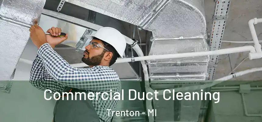 Commercial Duct Cleaning Trenton - MI