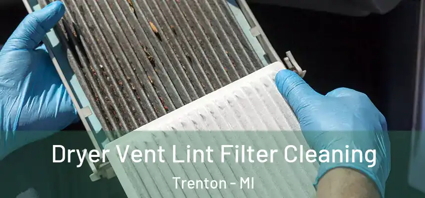  Dryer Vent Lint Filter Cleaning Trenton - MI