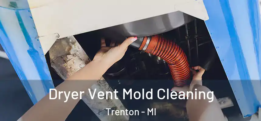  Dryer Vent Mold Cleaning Trenton - MI