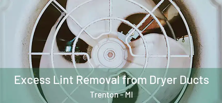  Excess Lint Removal from Dryer Ducts Trenton - MI