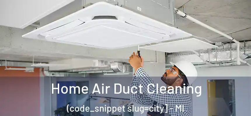  Home Air Duct Cleaning (code_snippet slug=city] - MI