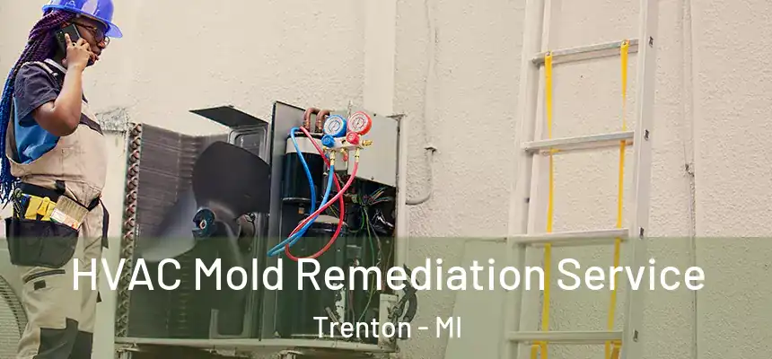 HVAC Mold Remediation Service Trenton - MI