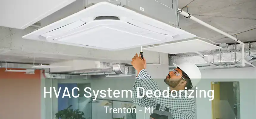 HVAC System Deodorizing Trenton - MI