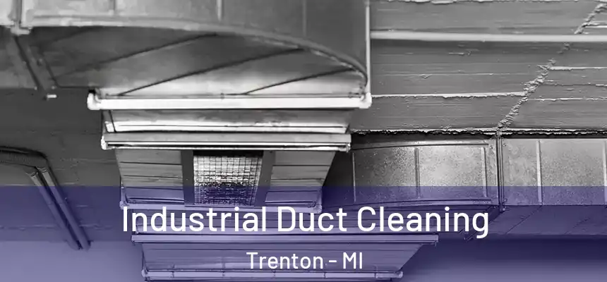  Industrial Duct Cleaning Trenton - MI