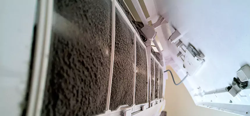 Preventive Air Duct Bacteria Removal in Trenton