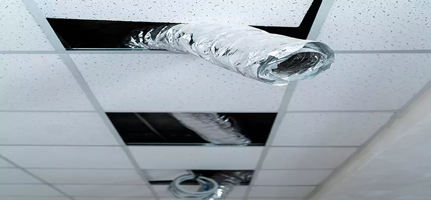 Our Air Duct Pet Hair Removal Services in Trenton, MI