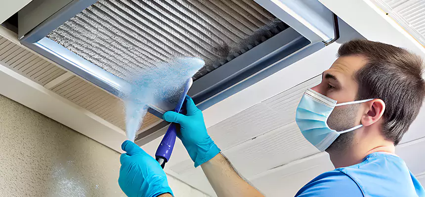 Proactive Dryer Vent & Auxiliary Duct Pollen Cleanup in Trenton, MI