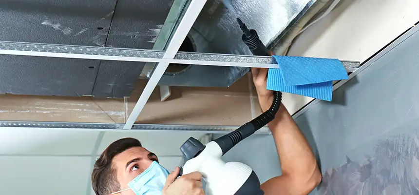 Our Air Duct Rodent Removal Services in Trenton, MI