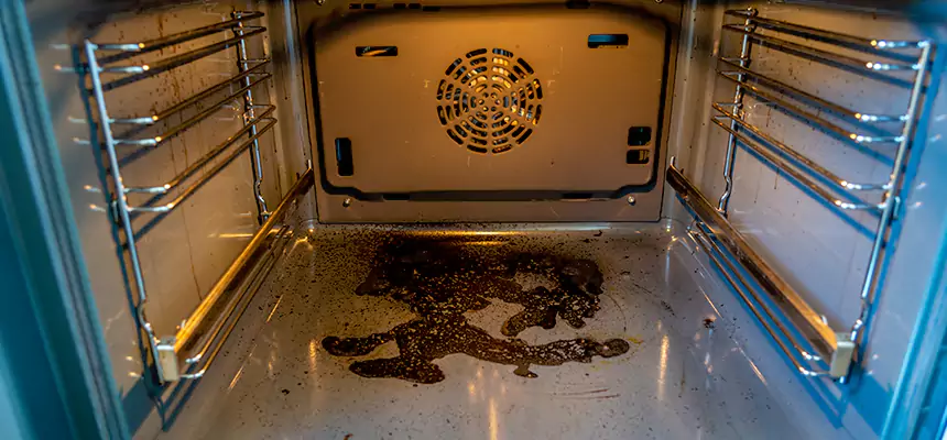 Our Dryer Vent Mold Cleaning Services in Trenton, MI