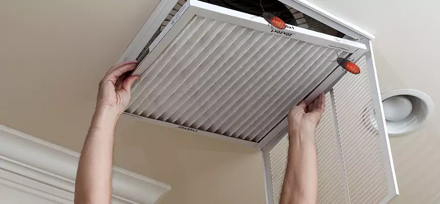 Our Insect Removal from Air Ducts Services in Trenton, MI