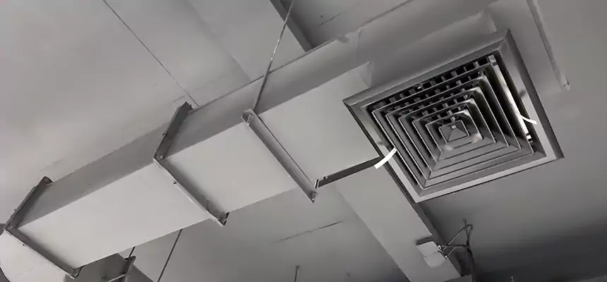 Our Pest Removal From Ducts Services in Trenton, MI