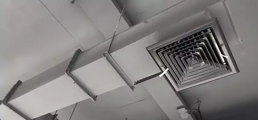 Our Rodent Droppings In Vents Services in Trenton, MI