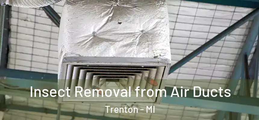  Insect Removal from Air Ducts Trenton - MI