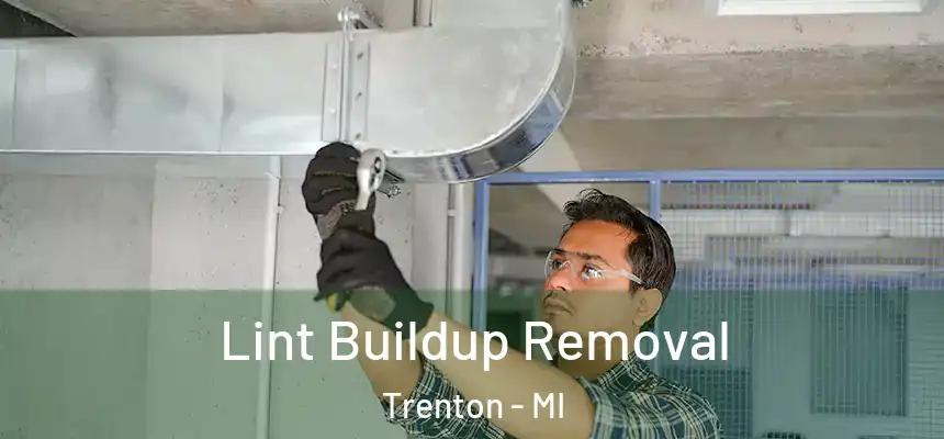 Lint Buildup Removal Trenton - MI