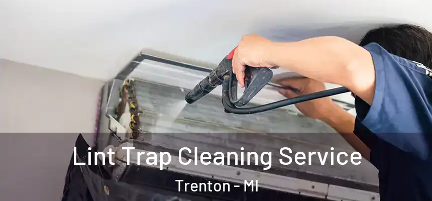  Lint Trap Cleaning Service Trenton - MI