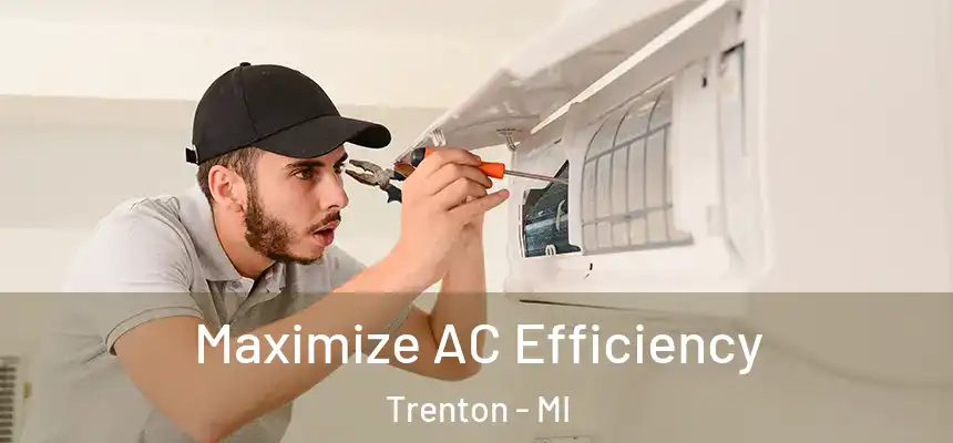 Maximize AC Efficiency Trenton - MI