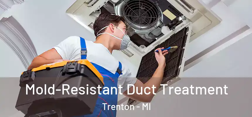  Mold-Resistant Duct Treatment Trenton - MI