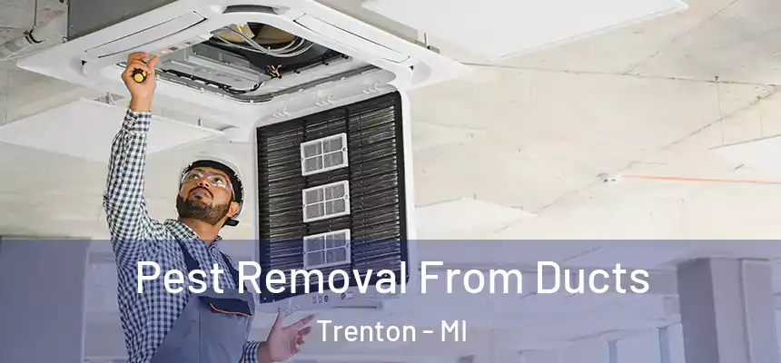  Pest Removal From Ducts Trenton - MI