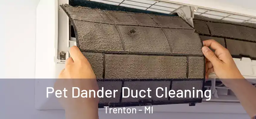Pet Dander Duct Cleaning Trenton - MI