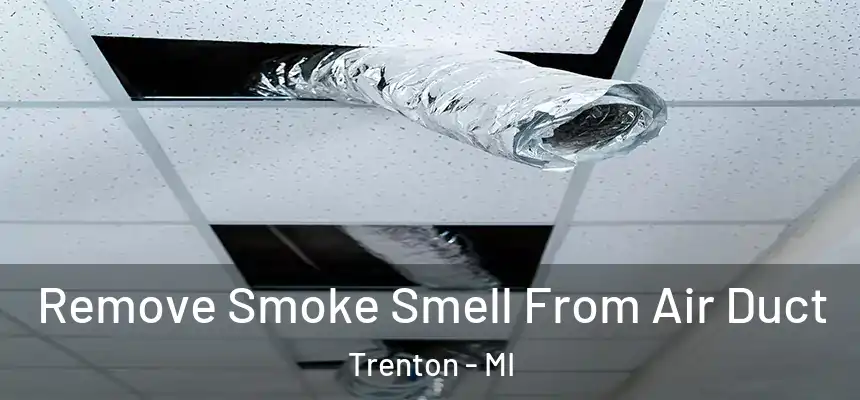  Remove Smoke Smell From Air Duct Trenton - MI