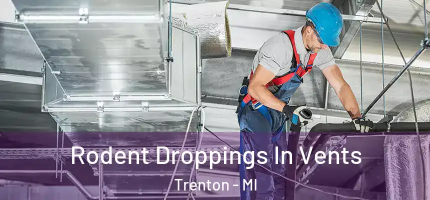 Rodent Droppings In Vents Trenton - MI