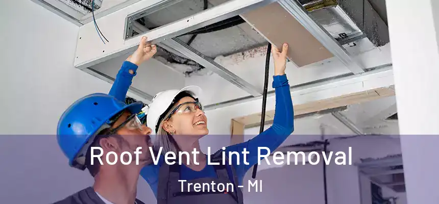  Roof Vent Lint Removal Trenton - MI