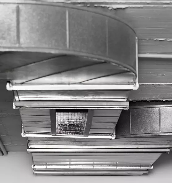 Professional Air Duct Pet Hair Removal in Trenton, MI