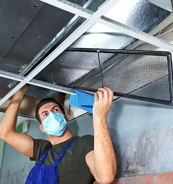 Professional Air Duct Pollen Cleaning in Trenton, MI